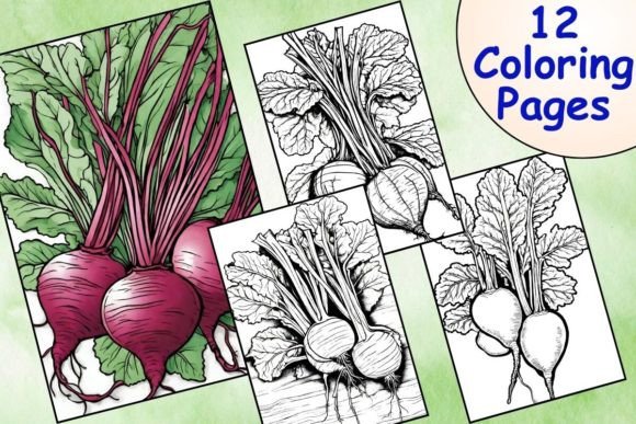 Download 12 Printable Beetroot Coloring Pages - Coloring page Collection